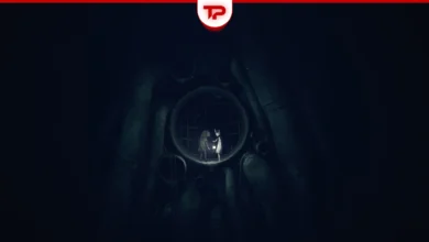 All Reanimal Coffin Locations