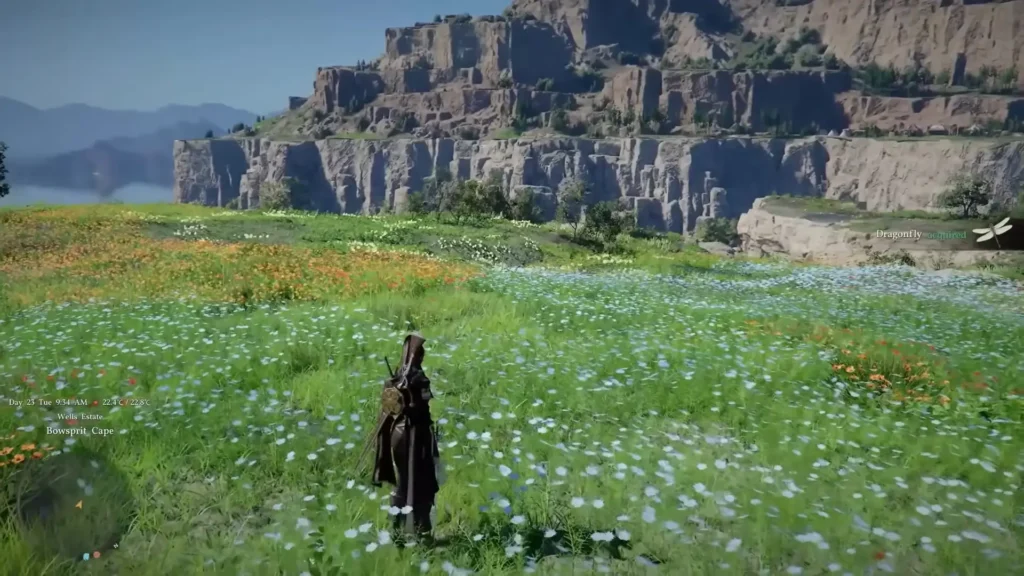 Damiane as a Crimson Desert Playable character