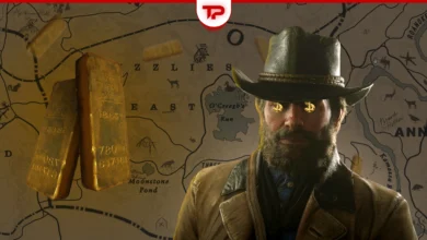 RDR2 Treasure Maps Guide