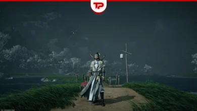 Where winds meet customization guide