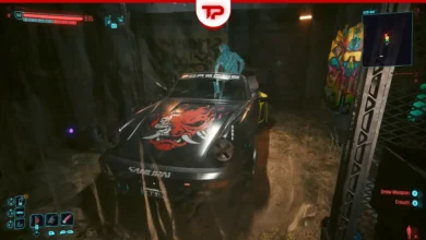 Cyberpunk 2077 Shape of a Pony Quest