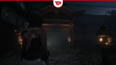 Fatal Frame 2 Remake Doll Puzzle