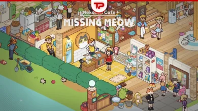 Lost and Found Co Missing Meow