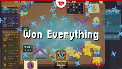 Scritchy Scratchy Final Chance Guide