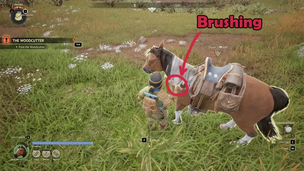 The Legend of Khiimori Brush the Horse Coat