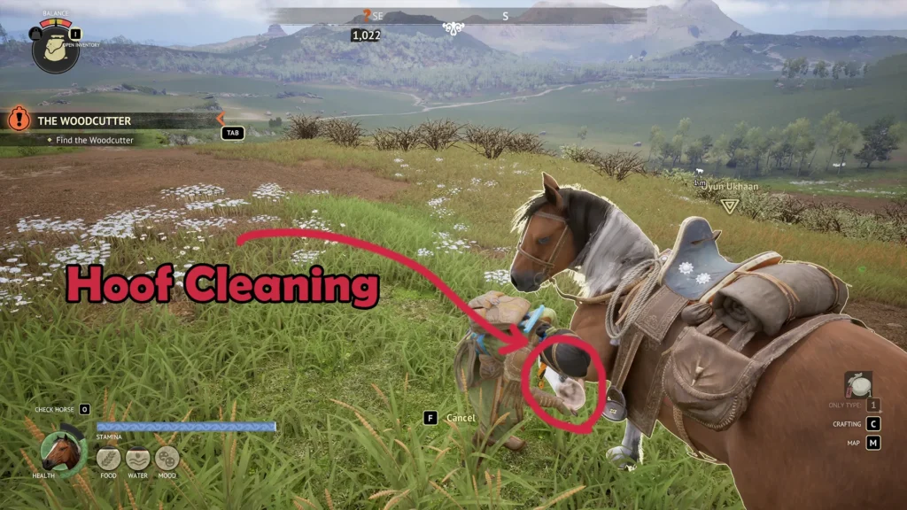 The Legend of Khiimori Clean Horse Hooves