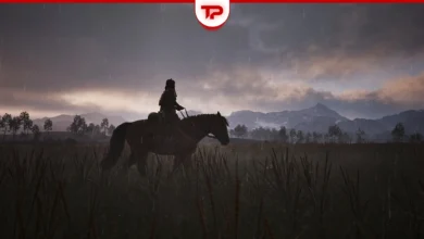The Legend of Khiimori Horse Guide