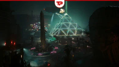 Voodoo Treasure Cyberpunk 2077