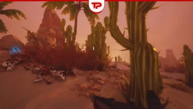 Far Far West Cactus Locations