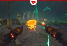 Far Far West Canyon Medallions