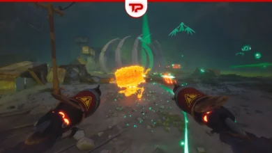 Far Far West Canyon Medallions