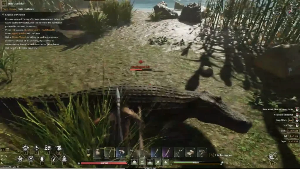 Fighting with Alligator to get Premium Thick Hide