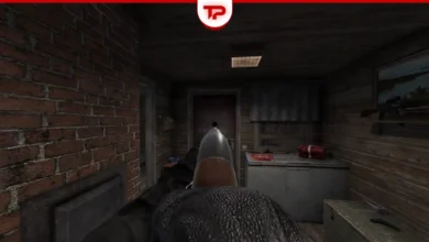 How to Load Shotgun in Road to Vostok