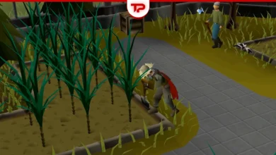 OSRS Leagues 6 Money Making