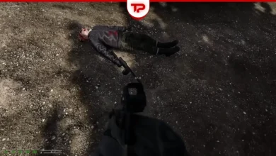 Road to Vostok Punisher Guide