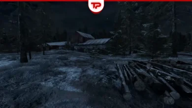 Road to Vostok Shelters Guide