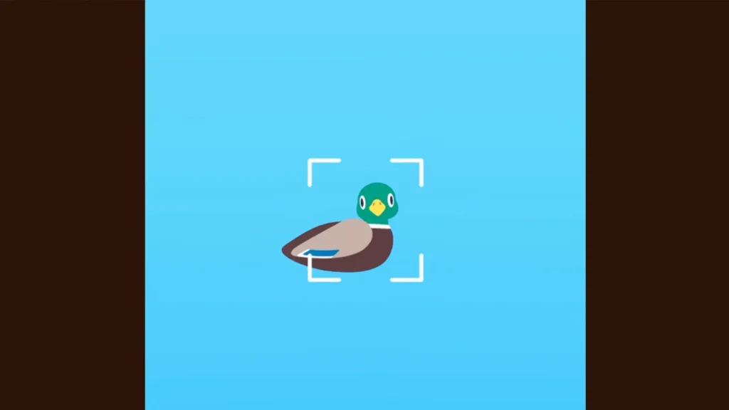 Taking photo of a bird in Flock Around