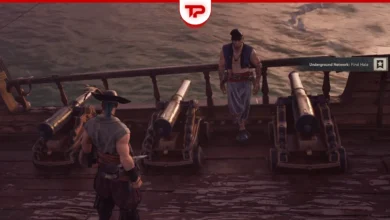 Windrose Cannons Guide How to Equip and Shoot