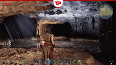 Windrose copper respawn