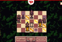 Gambonanza Guide