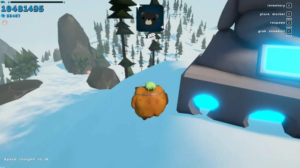 Sledding Game Characters Black Bear location (3)