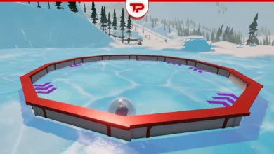 Sledding Game Money Guide