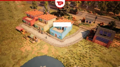 Town to City Guide