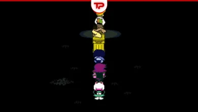 Deltarune Chapter 5 Flowery Scarf