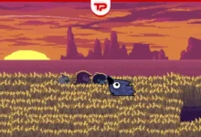 Deltarune Kawkaw