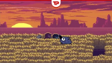 Deltarune Kawkaw