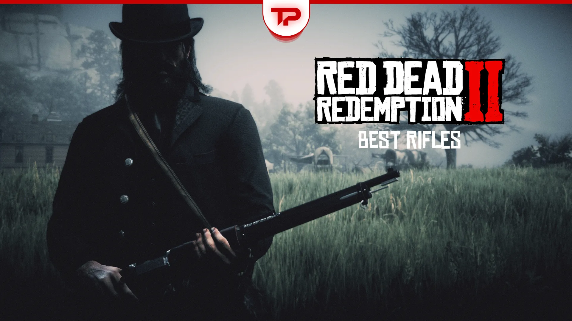 RDR2 Best Rifles in Story Mode