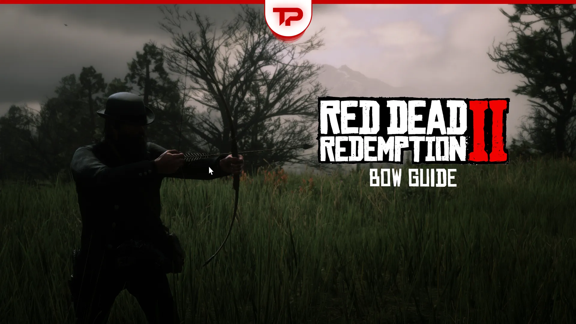 RDR2 Bow Guide