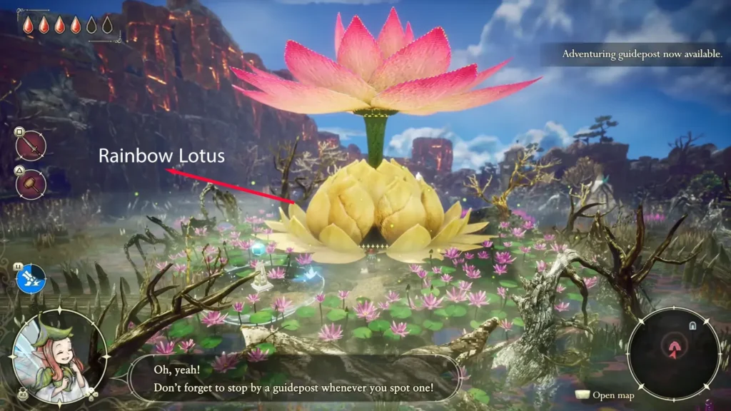 Rainbow Lotus location
