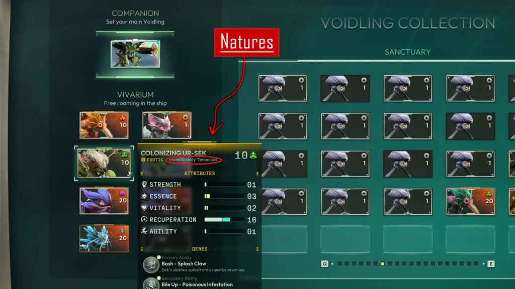 Voidling Bound Breeding Natures
