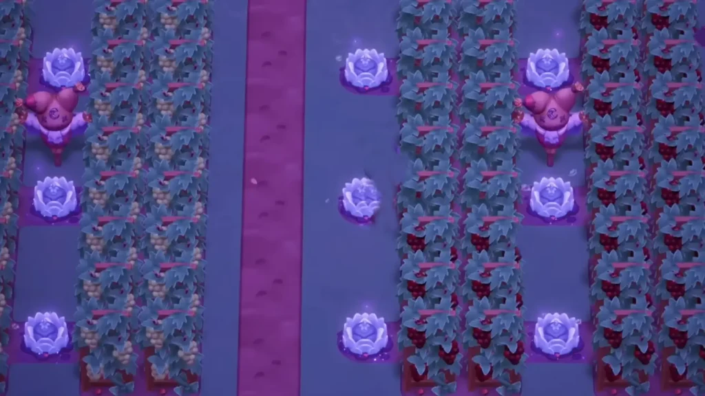 A Moonlight Peak grape farm