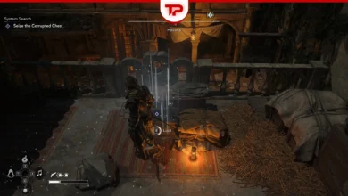 AC Black Flag Resynced Corrupted Chest