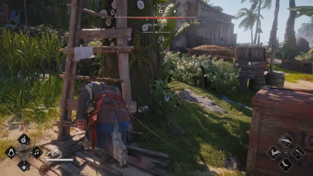 AC Black Flag Resynced The Hangman (2)