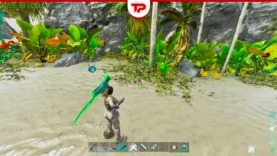 Ark Parrot Taming