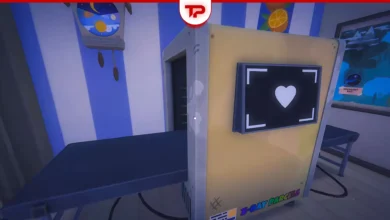 Cat Mail Co Heart