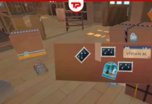 Cat Mail Co Parcel Guide