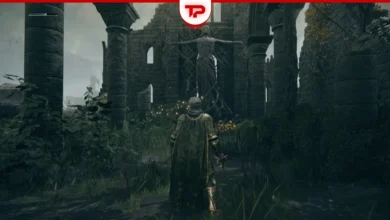 Elden Ring Church of Pilgrimage Sacred Tear Location