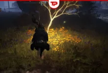 Elden Ring Liurnia Golden Seed Locations