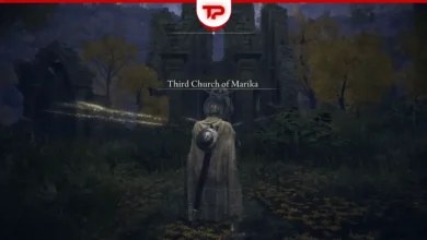 Elden Ring Third Church of Marika Sacred Tear