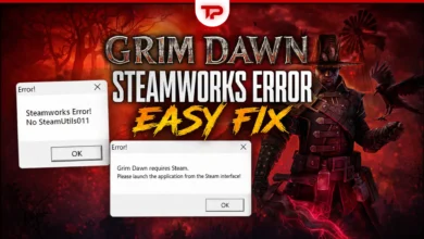 Grim Dawn Steamworks Error guide