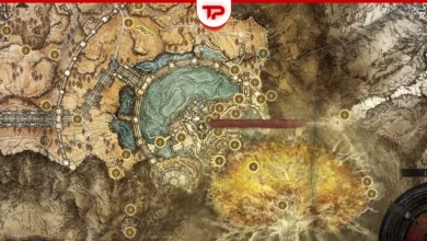 Leyndell Golden Seed Locations