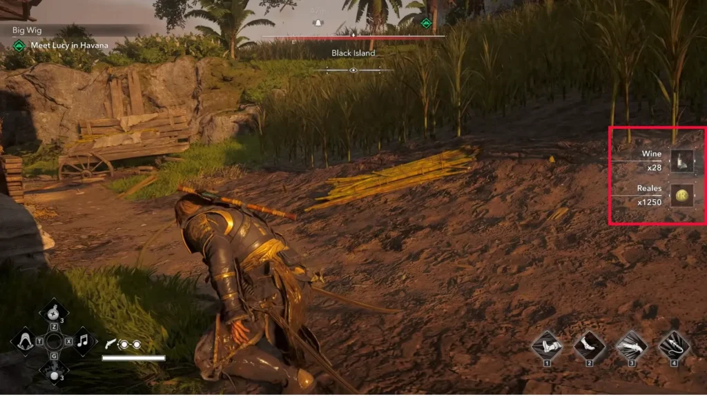 Warehouse loot in black island