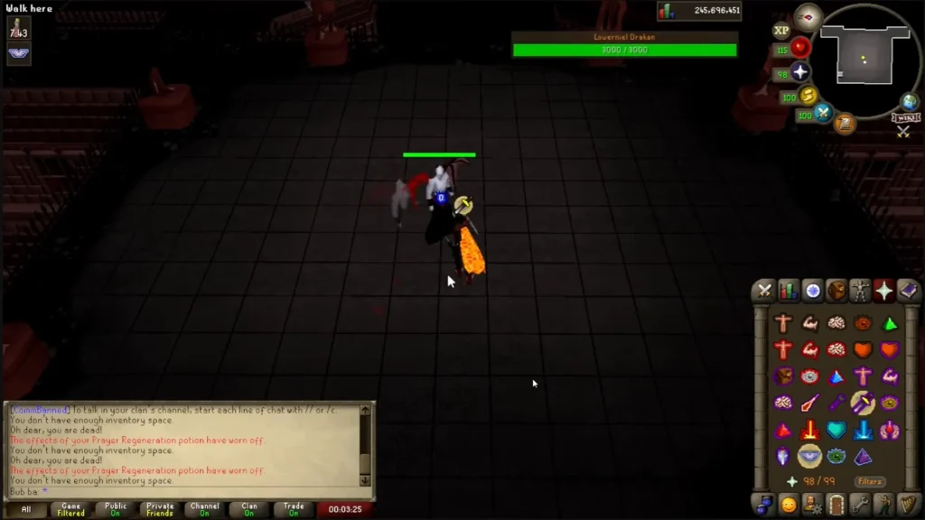 Setup and Preparation: Flail, Powerful Ring and Potions
