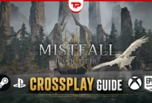 Mistfall Hunter Crossplay
