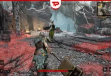 Mistfall Hunter Skills