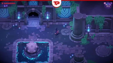 Moonlight Peaks cave of echoes